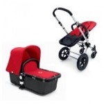 camaleon rojo camaleon rojo